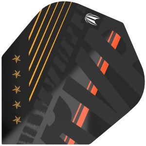 Target Pro Ultra Raymond van Barneveld Black NO6 - Dart Flights