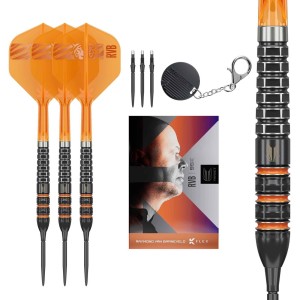 Target Raymond van Barneveld - 95K Swiss - 95% - 23 gram - Dartpijlen