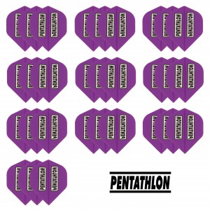 10 - Sets Pentathlon 100 micron flights - Paars