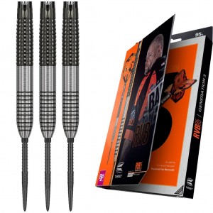 Target Raymond van Barneveld Generation 3 - 95% - 21-23-25 gram - Swiss - dartpijlen